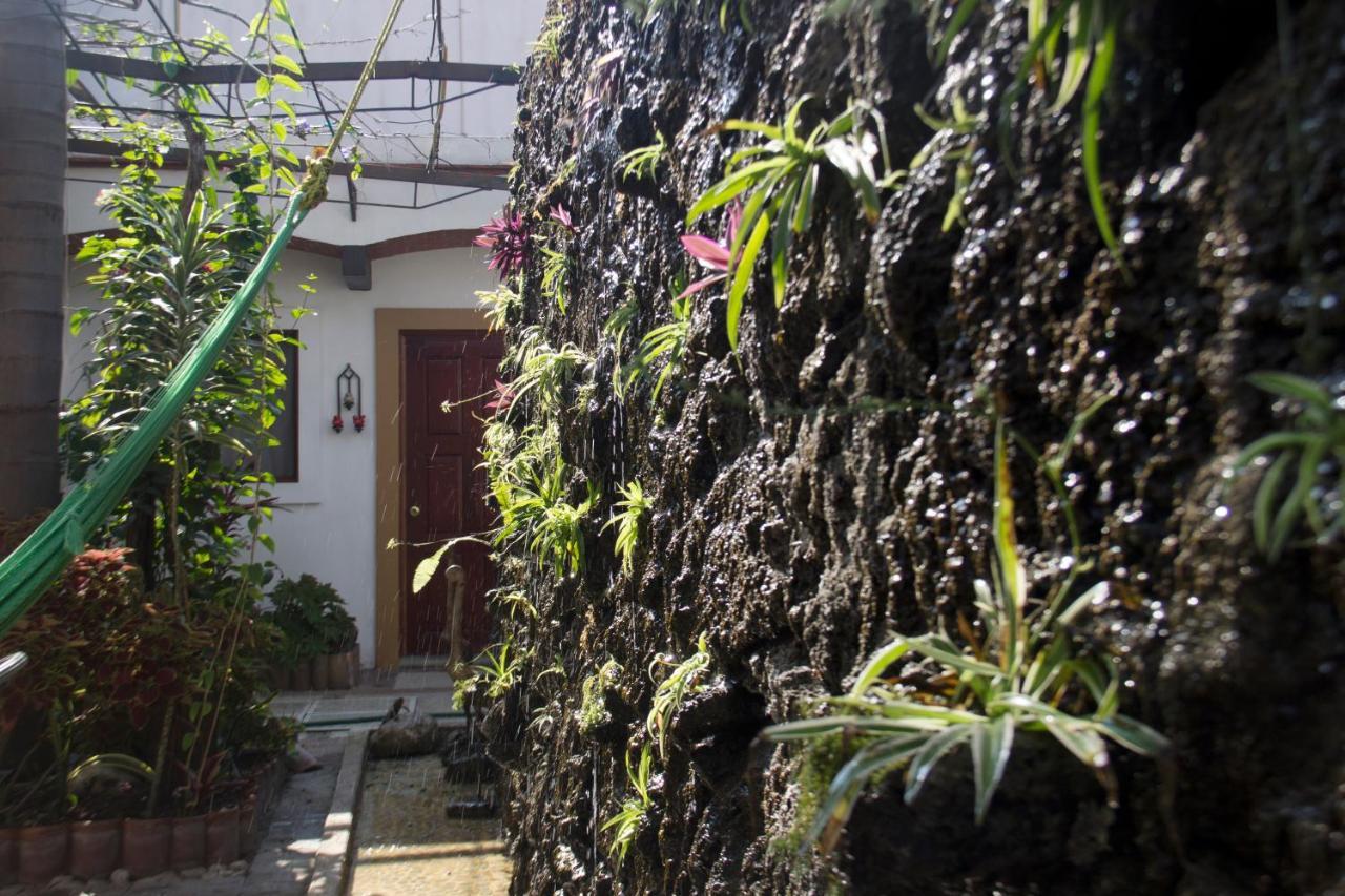 Las Mariposas Hotel & Studios オアハカ州 エクステリア 写真