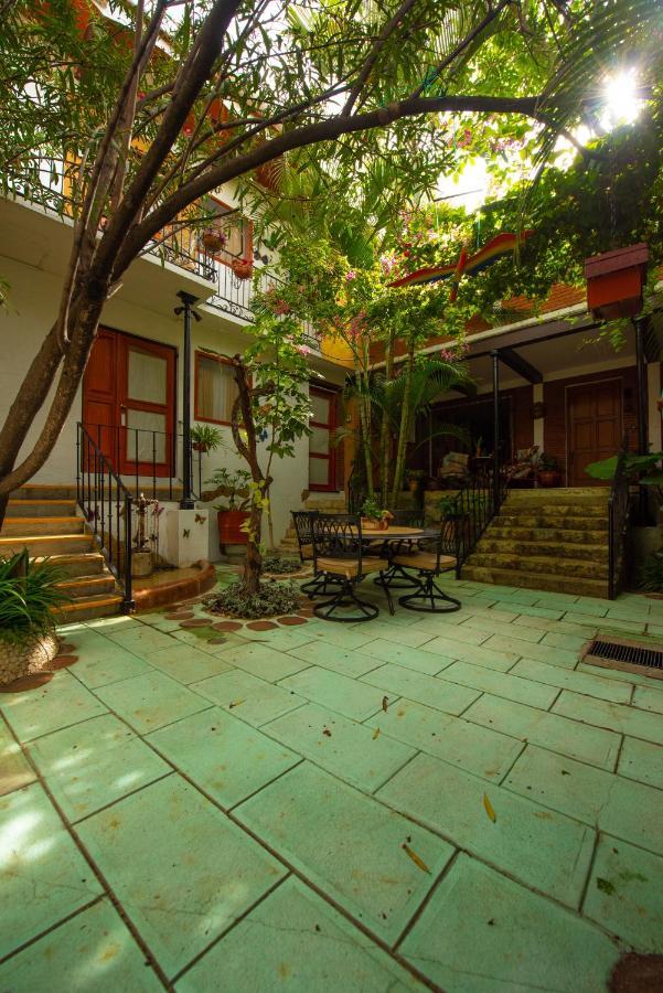 Las Mariposas Hotel & Studios オアハカ州 エクステリア 写真
